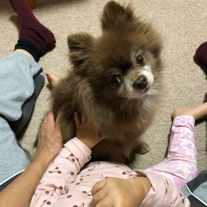 E93e87c5 deba 4836 9a94 4a2ffc0f9e9b 1604131812905