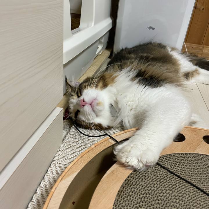 E93e905e af3b 489c a152 a35843665cbe 1649424677599