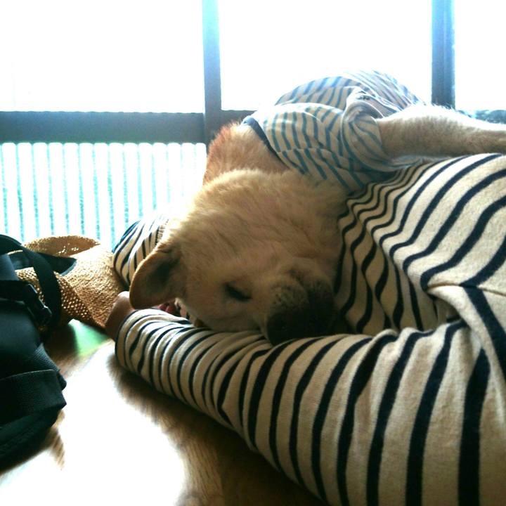 E93e94d3 3fe1 4f98 9a08 67bd5299bad5 1526095708354