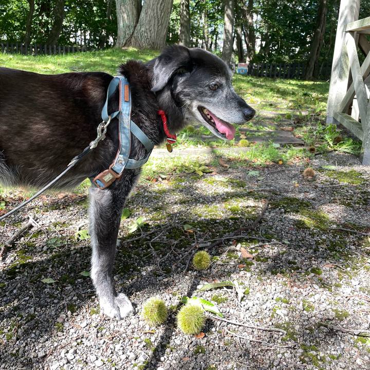 E93ec004 d1c3 4dba 9208 2c17d1635a7f 1758103048204