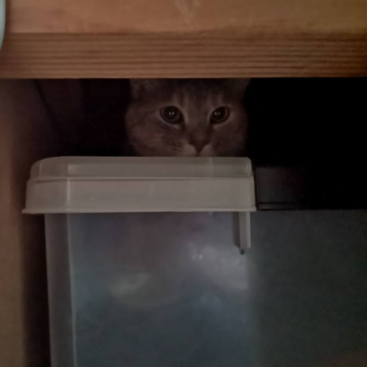 E93f160e 2dc2 47e8 9de2 33839861af5f 1591931483681