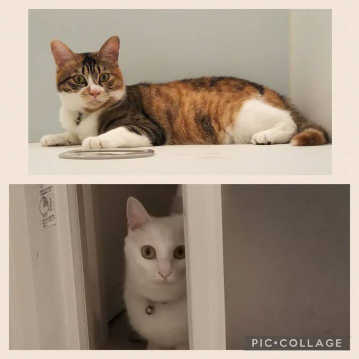 E93f249d 3f7e 4642 9c75 acc2619932da 1658352051508