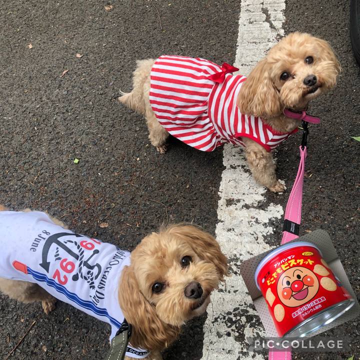 E93f29dc 1c72 46af 8608 bbe56a465ed4 1650776341517