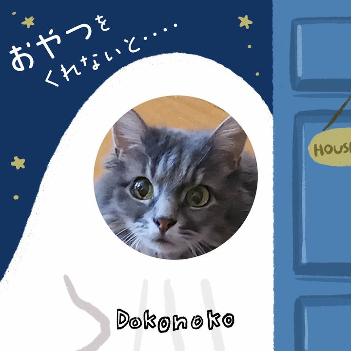 E93f35ca 20a3 4f45 a906 7550623f8b53 1729330452506