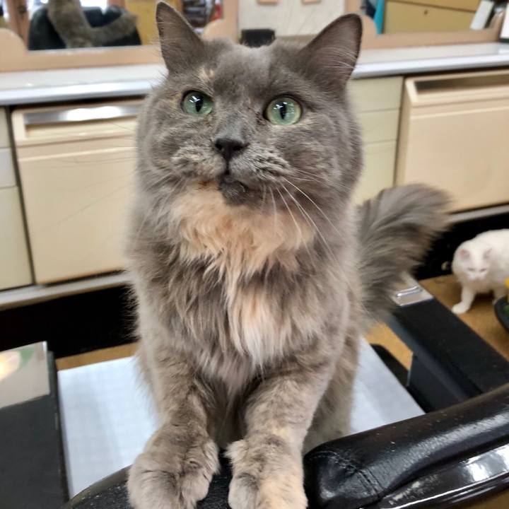 E93f4719 5e5a 4aa6 b35c d3641db4940f 1550809411115