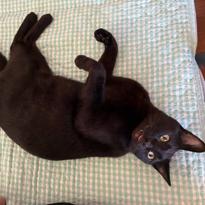 E93f65ab 49f5 4640 b756 7ea2b8e14662 1753996768818