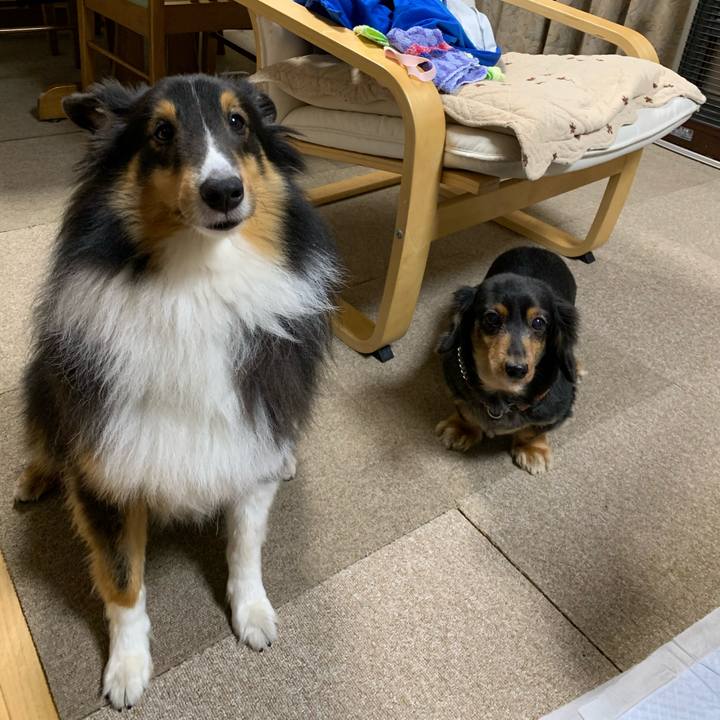 E93f69bf c560 4244 a537 3d6de81089a9 1605650271504