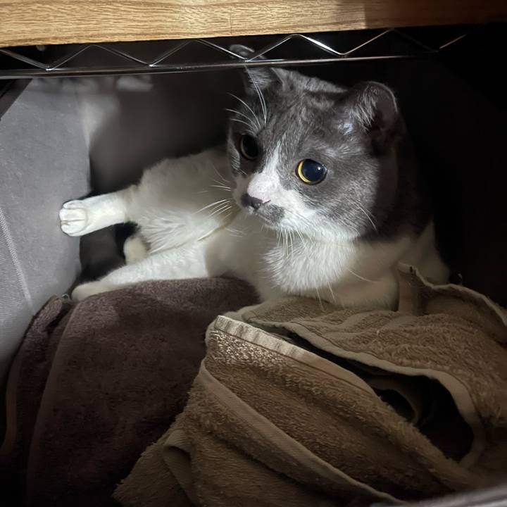 E93f9857 8b42 4d85 8067 fce5a0d88059 1753535839862