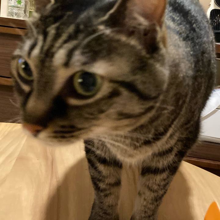 E93f9b46 25f5 43ea 94ab af3ef2f6a87c 1652959851367