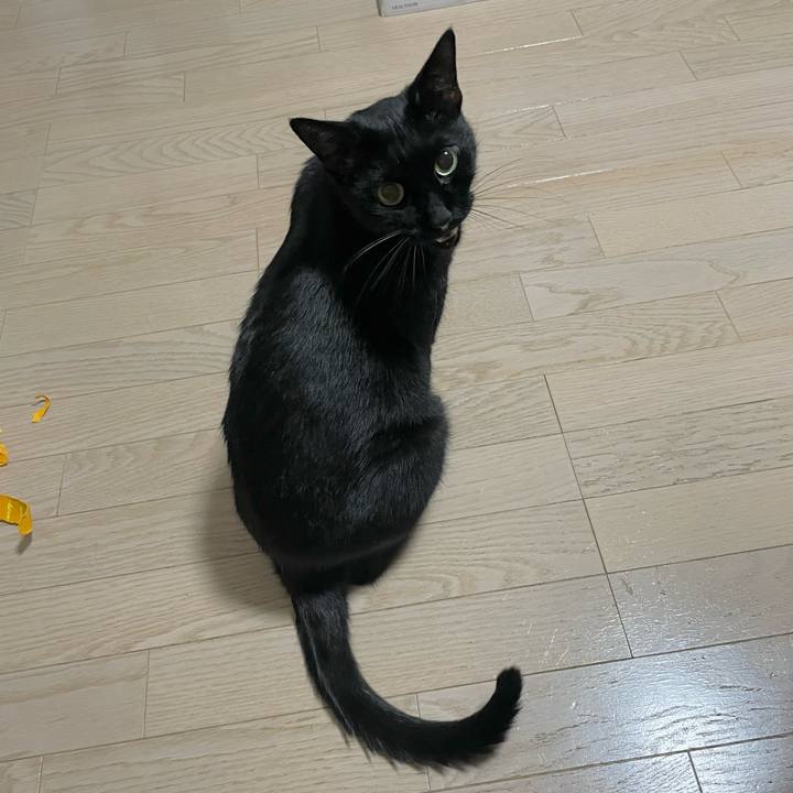 E93fb0a6 8561 445b adc4 1668e96a1d02 1698062988895