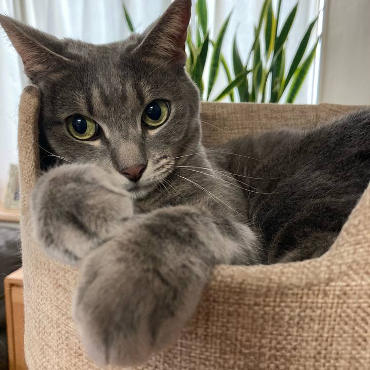 E93fc17a 468e 43b9 9294 d5a7075debd9 1628412988944