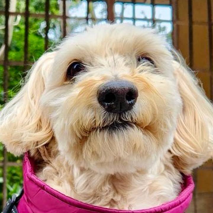 E93fdcf8 6080 4d83 8cae 4ee97c135df4 1770453739565