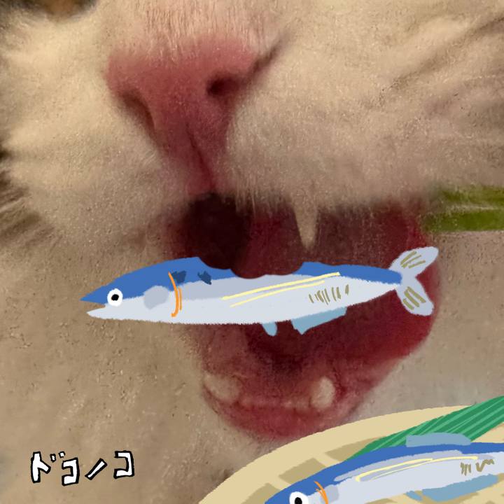 E93ff451 7b72 4a9a 80a0 f053485510b6 1789794109764