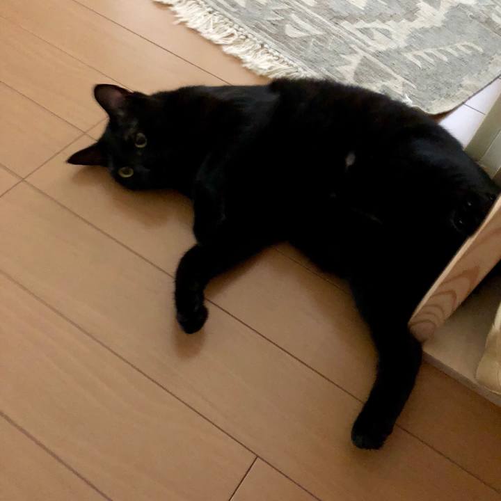 E93ffc04 b42f 493a a14d e0097729b38b 1536976646522