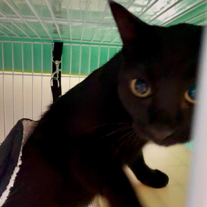 E940248d fcc2 46a3 b218 4af5975f4cdf 1752192522774