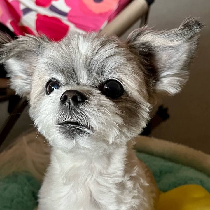 E9405325 641d 4877 9a21 73445b8cda5e 1770793987324