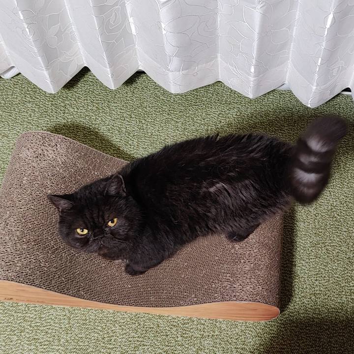 E9408a87 712e 4f67 ac0f be23619d1afd 1632490674435