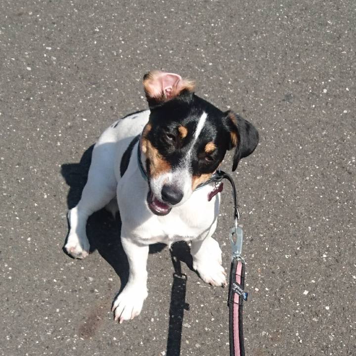 E940e936 577e 4815 9565 1b71d1654aad 1558573303220