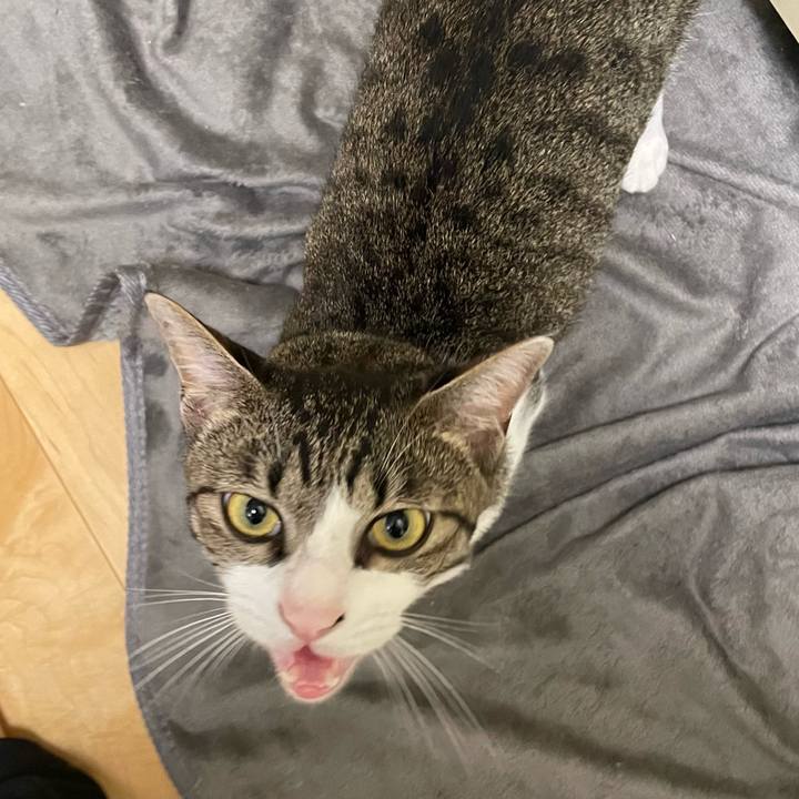 E9410247 24be 485a a95c 2d3e21ad451d 1754836251188