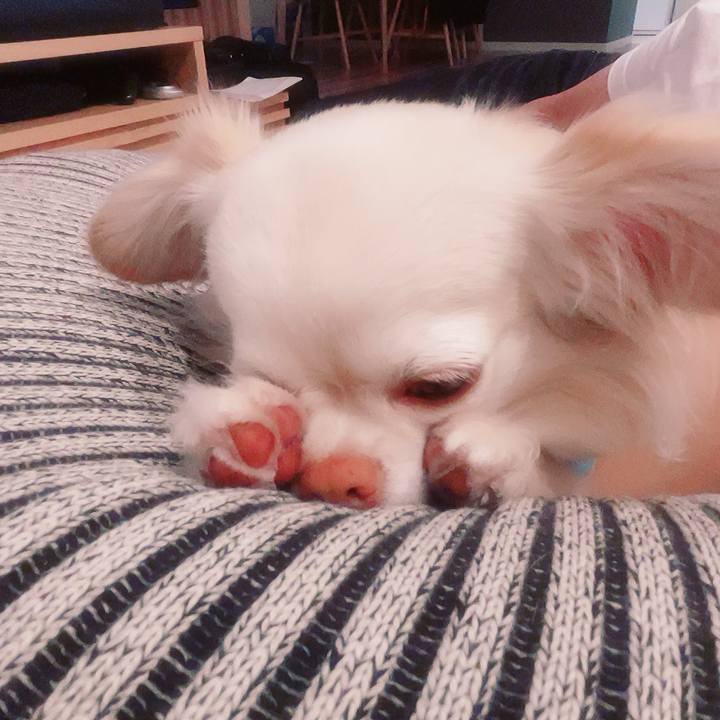 E942442a bd41 4265 9a6c 877698661960 1714809201298