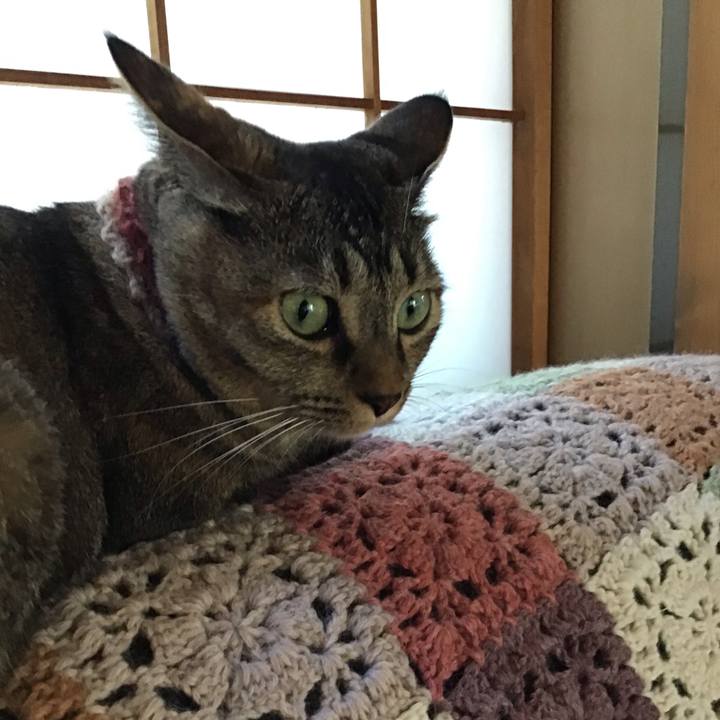 E9425680 0198 472b 86a3 5241b0bc8760 1632036559889