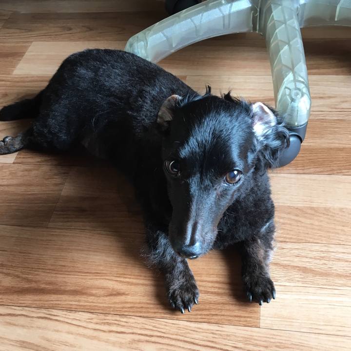 E94277fb 7dfd 4663 b3cb 20e264c68cd8 1531610363225