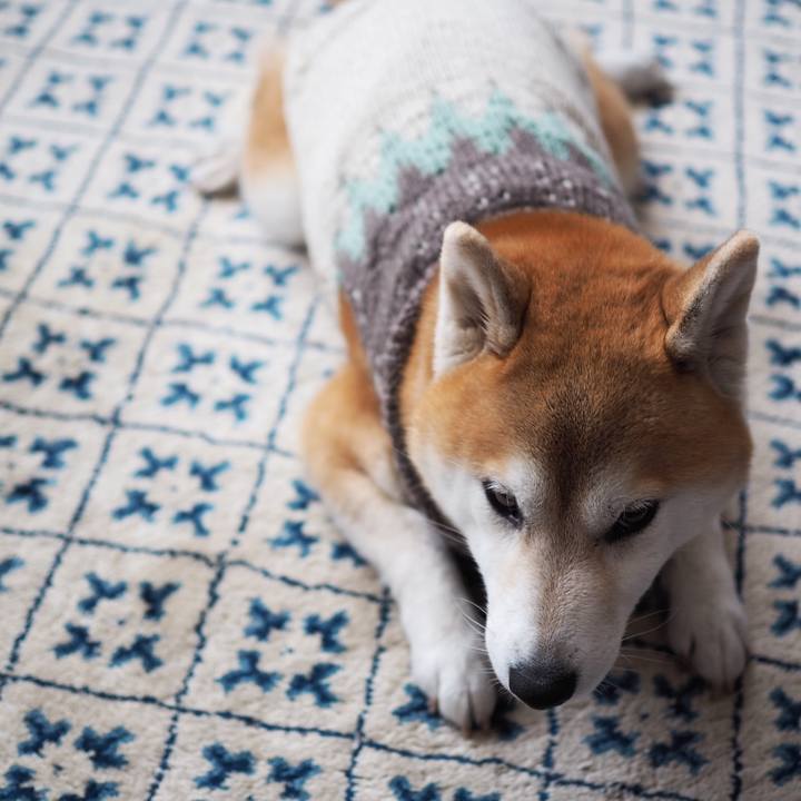 E942a4c9 97be 4fa2 b1e3 b2ff3e6e6399 1581233532320