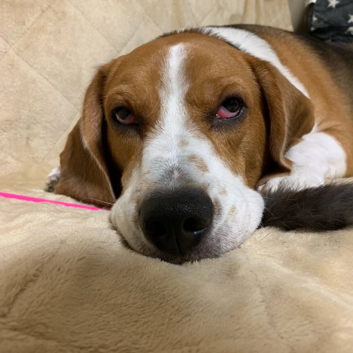 E942d08b 658c 4637 b5ed f733a618b585 1602854329205