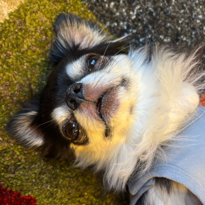 E942fc66 f62a 4905 b074 cc6a3ad1a2bf 1745943842464