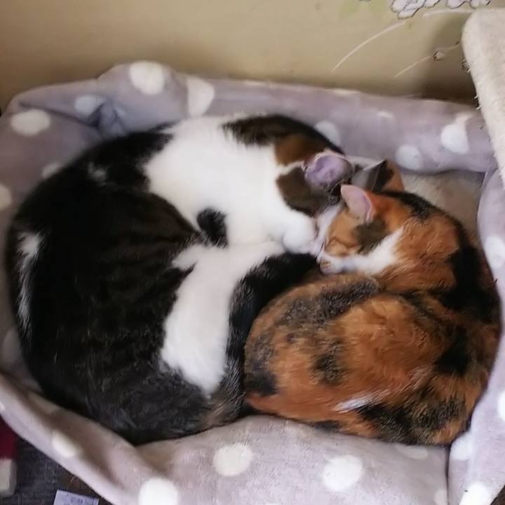 E9430acc 22e4 4d0d bbd4 932f79bec6ec 1557923938895