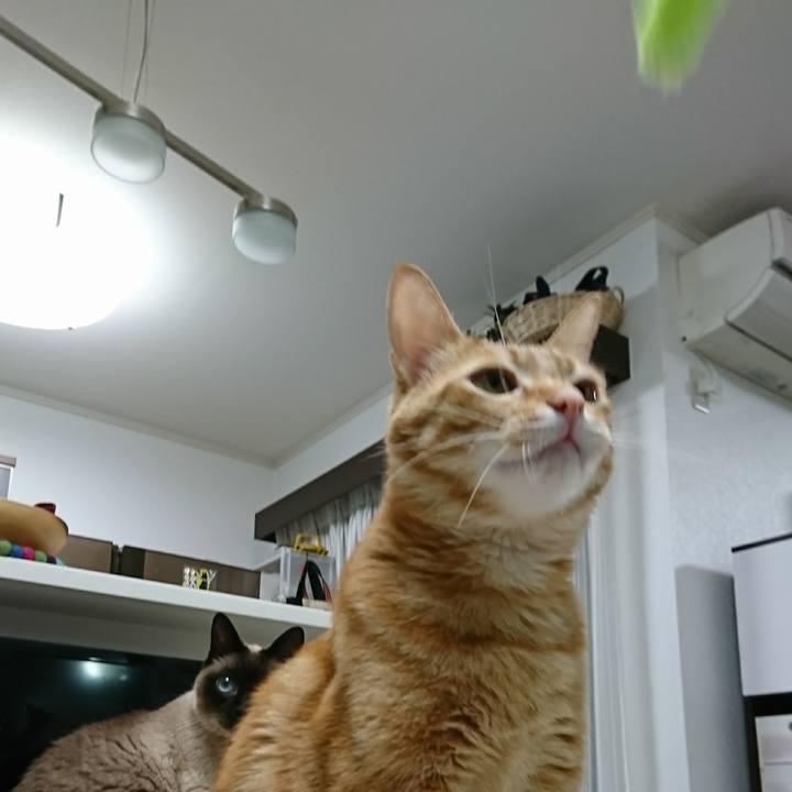 E9431b4c 3b20 4b2b 8fc8 15cda0f00162 1552396634139