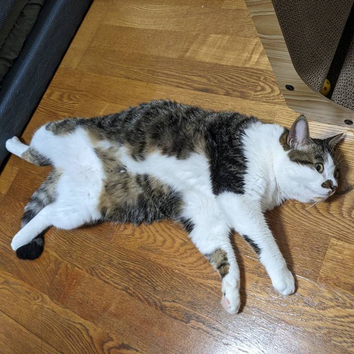 E94353ed b905 449a 873b 9b7d0547a206 1688169028870