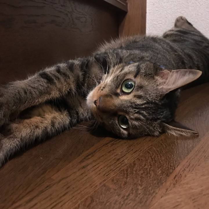 E9435c79 0f77 4e9f 9b05 0b5b65d60a5a 1572536029571