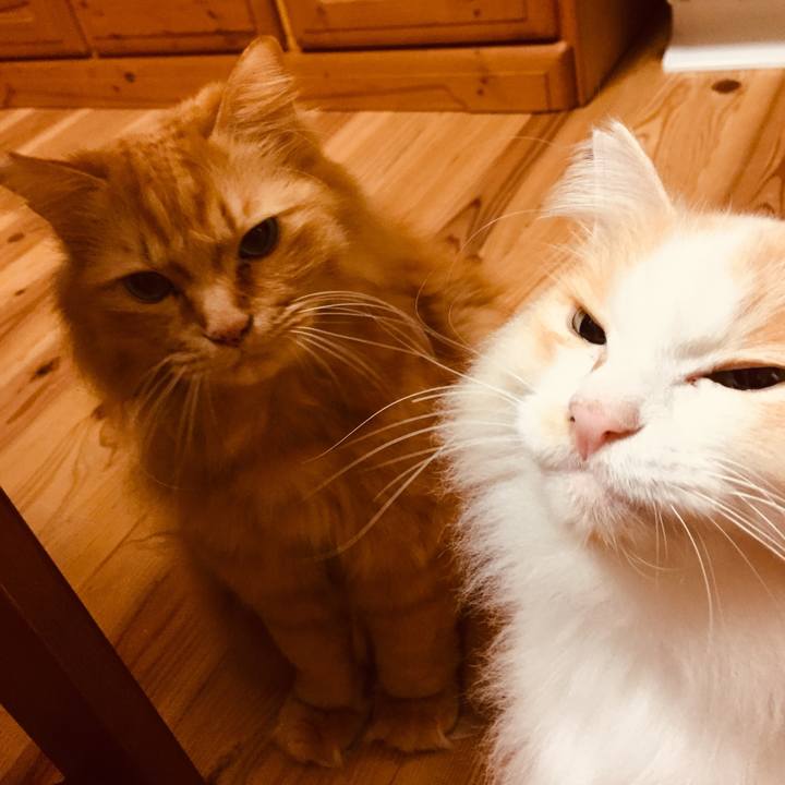 E94364cd a4e9 4b0d 9026 63c9de711091 1579304324704