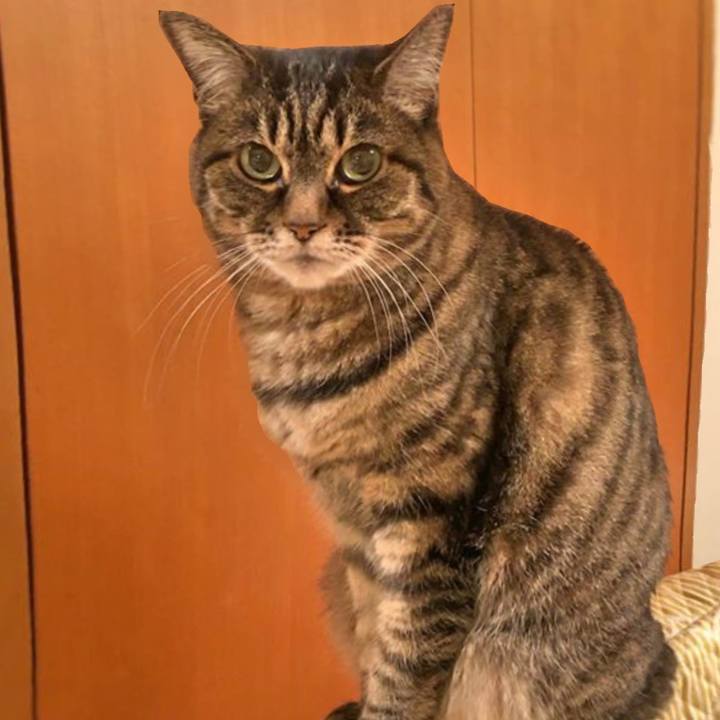 E94367a4 2e82 4894 aa9d 6b350073a880 1767785639195