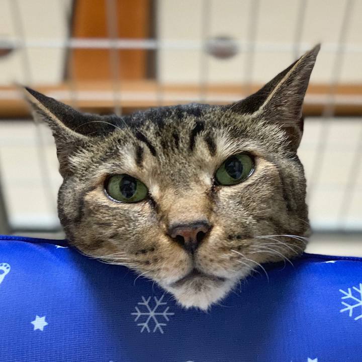 E94367d3 1813 42dc 8b38 60200588a6fd 1564184932679