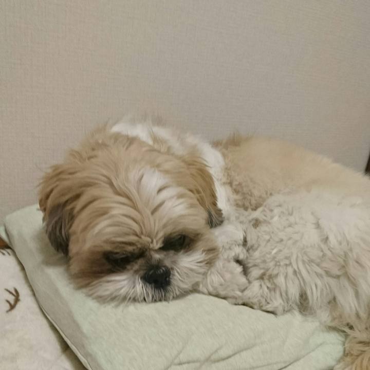 E9436ebb 80e4 483c a430 48f7f6d7d082 1546817639338