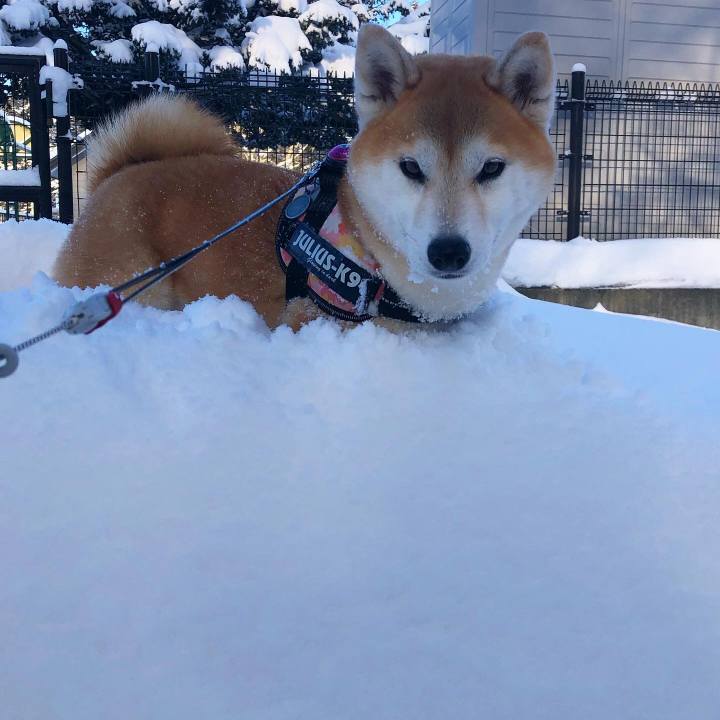 E94376db 3607 4596 8c73 d3c36509041e 1580775187481