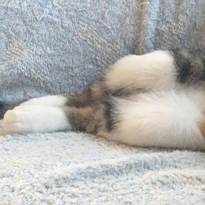 E9439eb6 f5c8 475d bb5d fdd4b4403d89 1660294541890