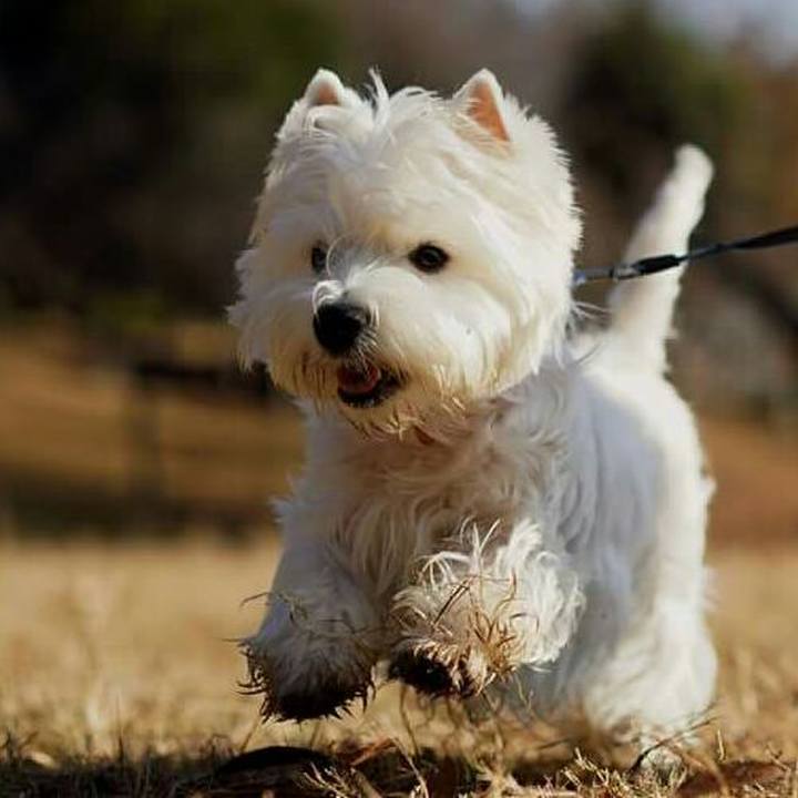 E943a14a f157 48c5 a0d5 febfd2d0486e 1512952304343