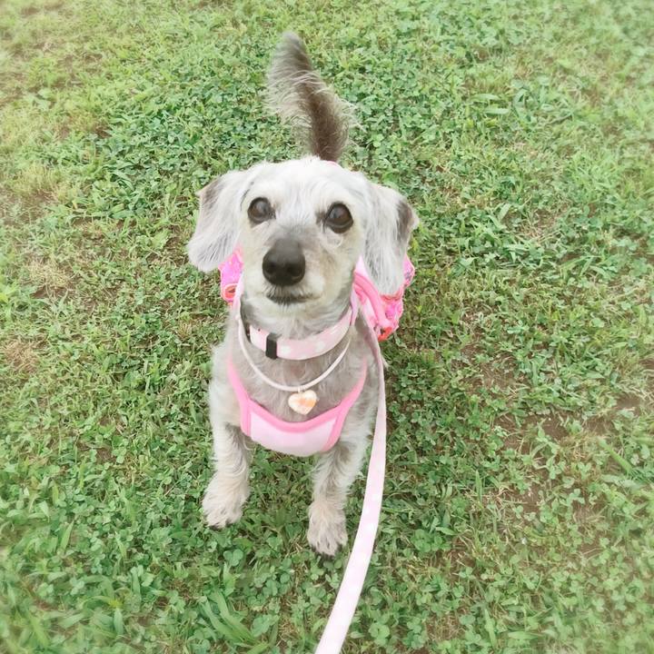 E943c7f0 dc29 438d a7c5 d1759112fb38 1529045781555