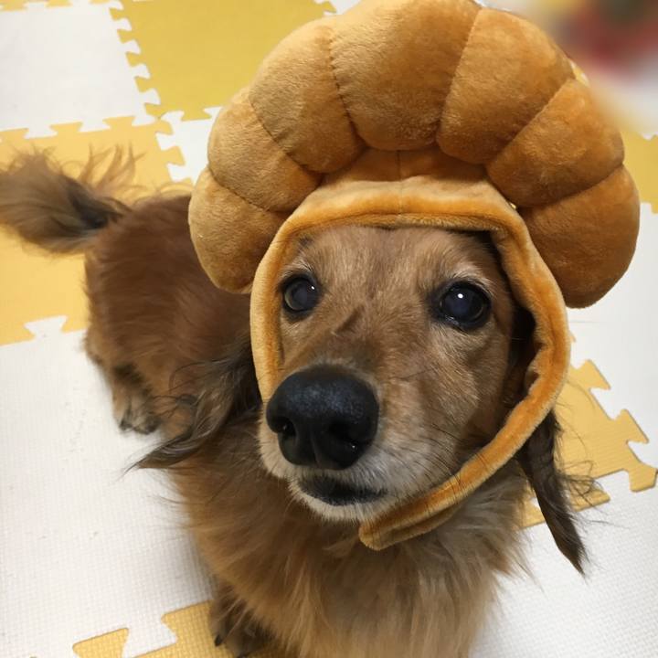 E943c99e 80cd 4c26 8e21 66934384fc46 1517314131624