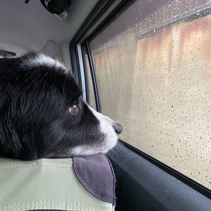 E943dc6b 66b5 4eff b1d5 c2d1358cfcde 1649887911615