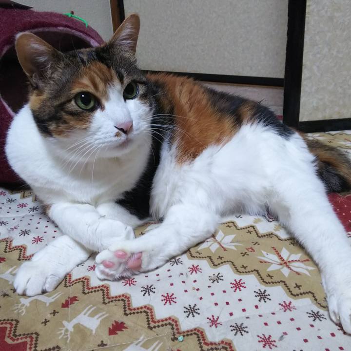 E943f8aa 28f8 4745 9d45 f1ef4373c17d 1556579458309