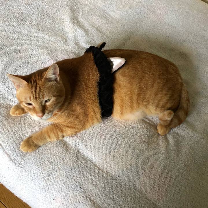 E9440298 92fd 440b 8ec8 69672b383098 1570253218610