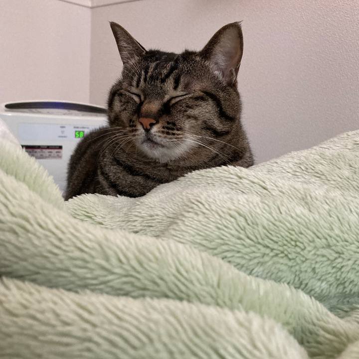 E9440cc7 0625 48f7 8662 9aa926c89230 1684107655983