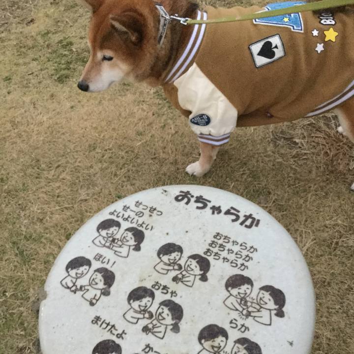 E944851b 2a3b 4850 8ac4 58c92469019e 1576745699818