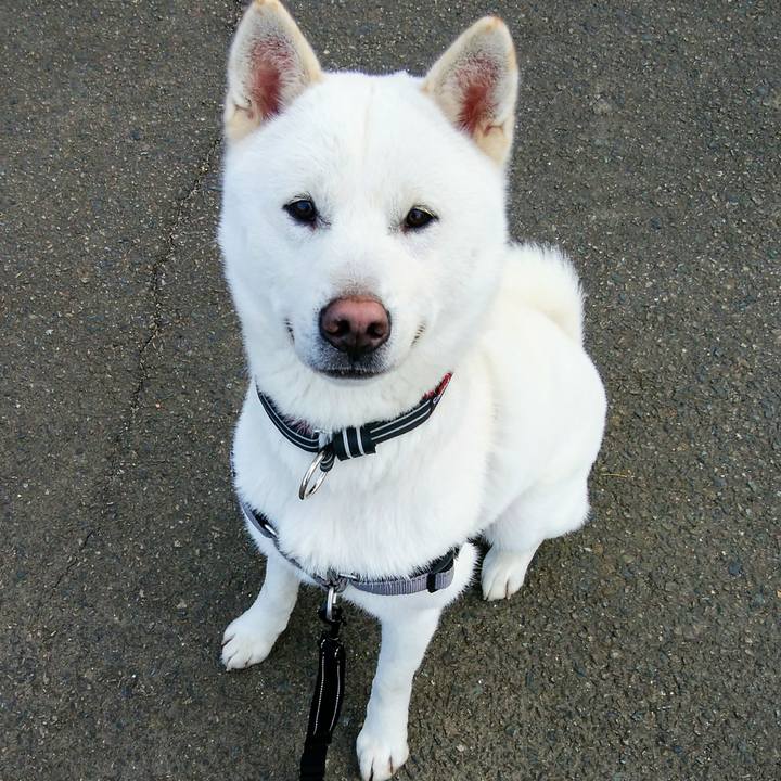 E9449122 90ec 446e 99c9 93207863461f 1519343751230