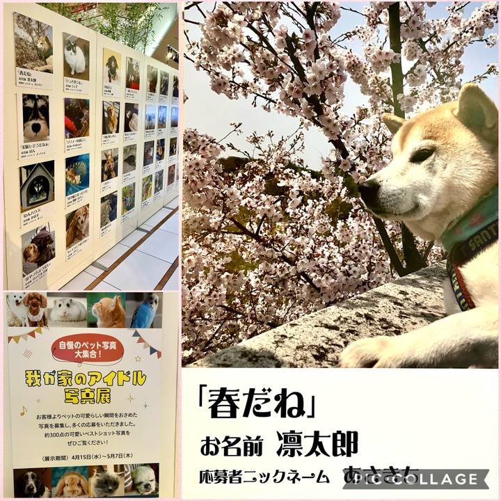 E944e0cd f87d 4991 bcbf f874ed852500 1777247925061