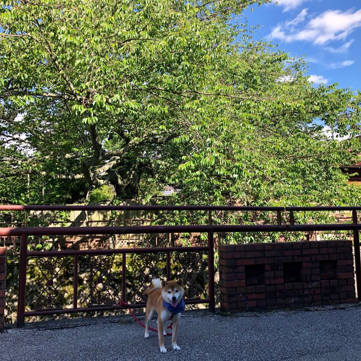 E9451a78 34d2 4236 a692 89d5ba906af9 1529823442041